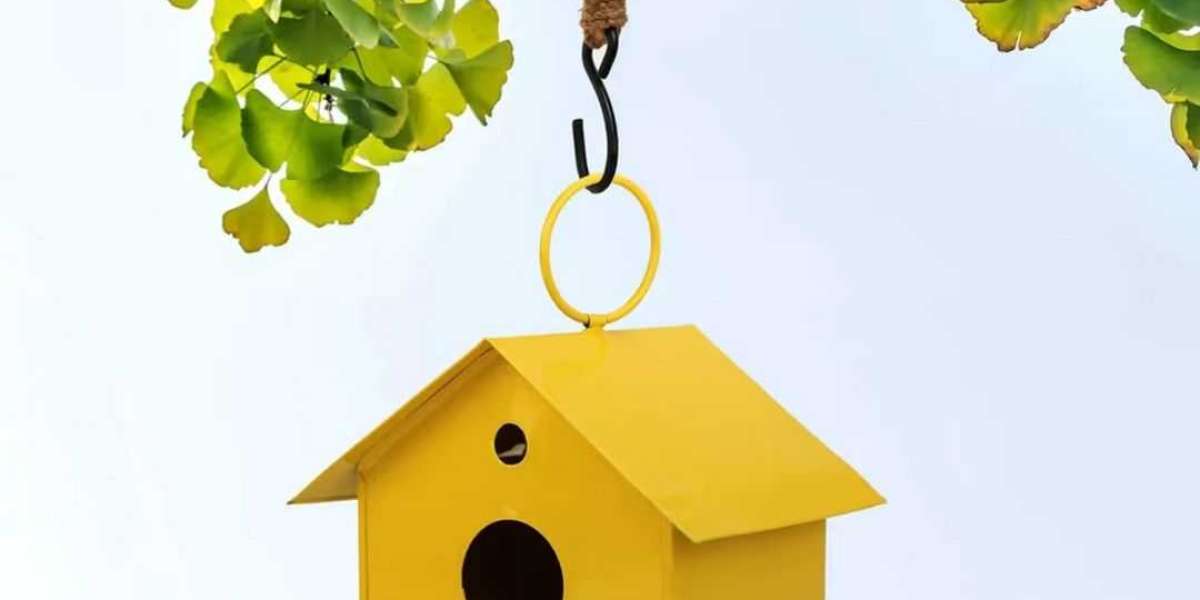 How to Attract Different Birds to Your Garden's Bird House