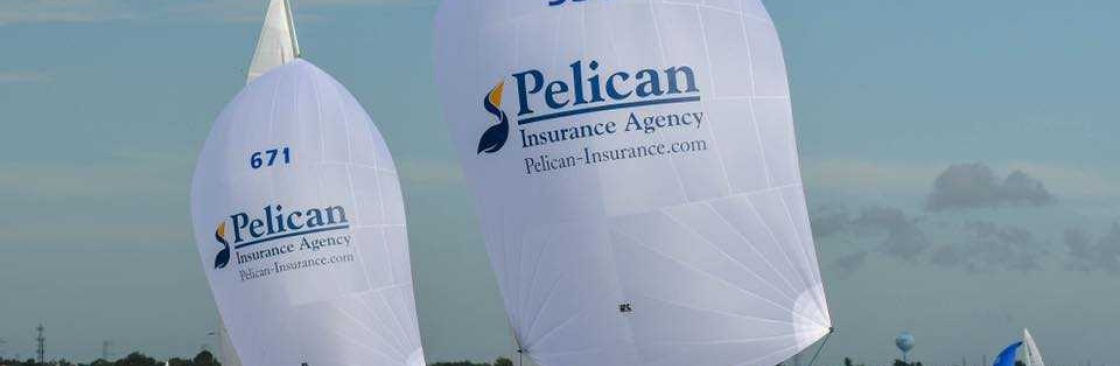 Pelican Insurance Cover Image