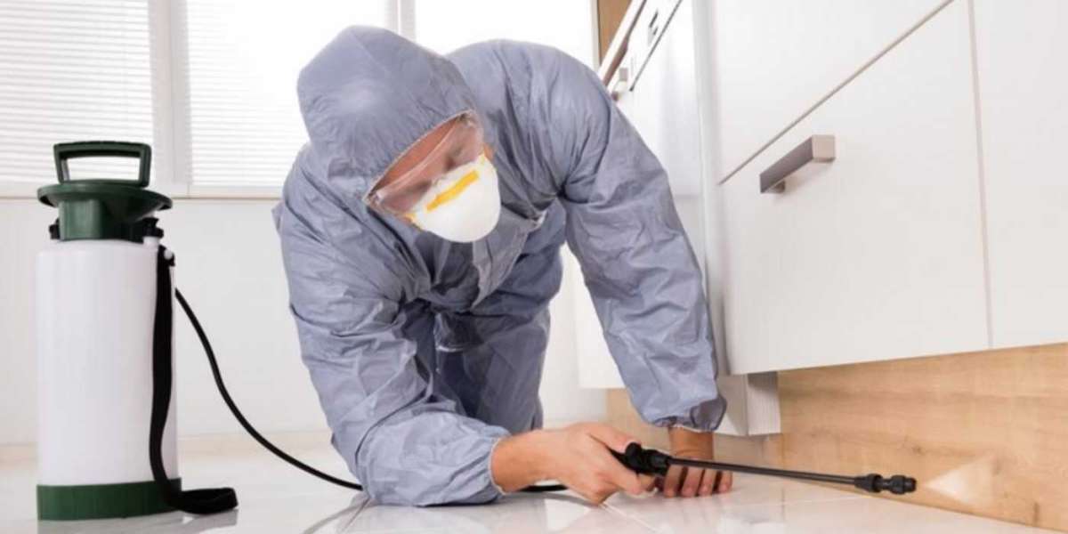 Professional Pest Control Services: Your Ultimate Solution