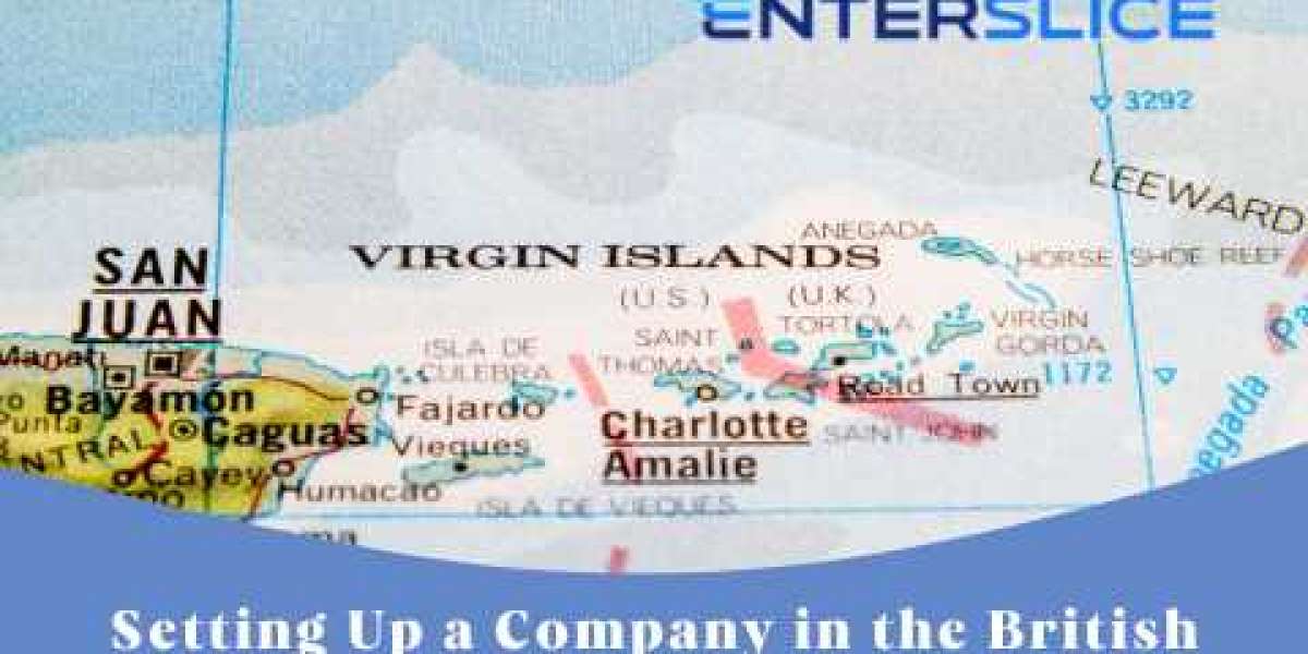 Navigating Legalities: BVI Company Registration and Governance