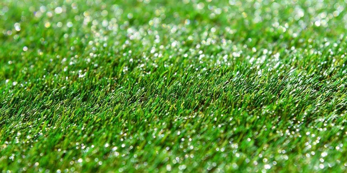 Artificial Grass vs. Natural Grass: Which is Better for NZ Backyards?