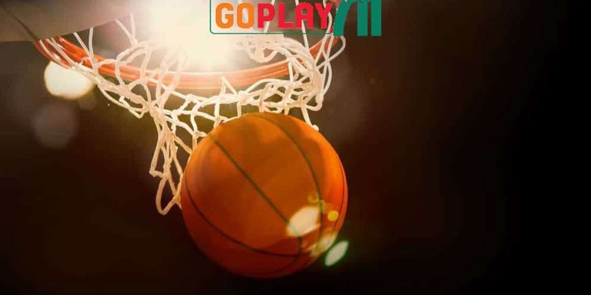 GoPlay711: Live Basketball Betting That Comes Straight Home, Literally