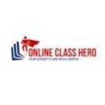 Online Class Hero Profile Picture