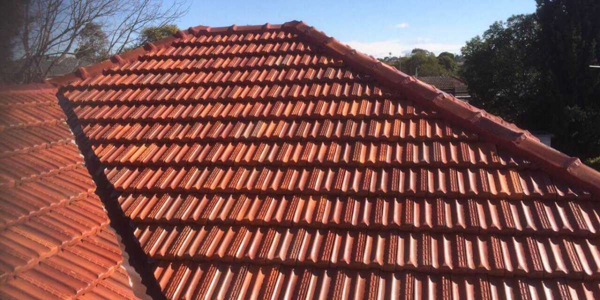 When to Call a Pro for Roof Repairs in Sydney