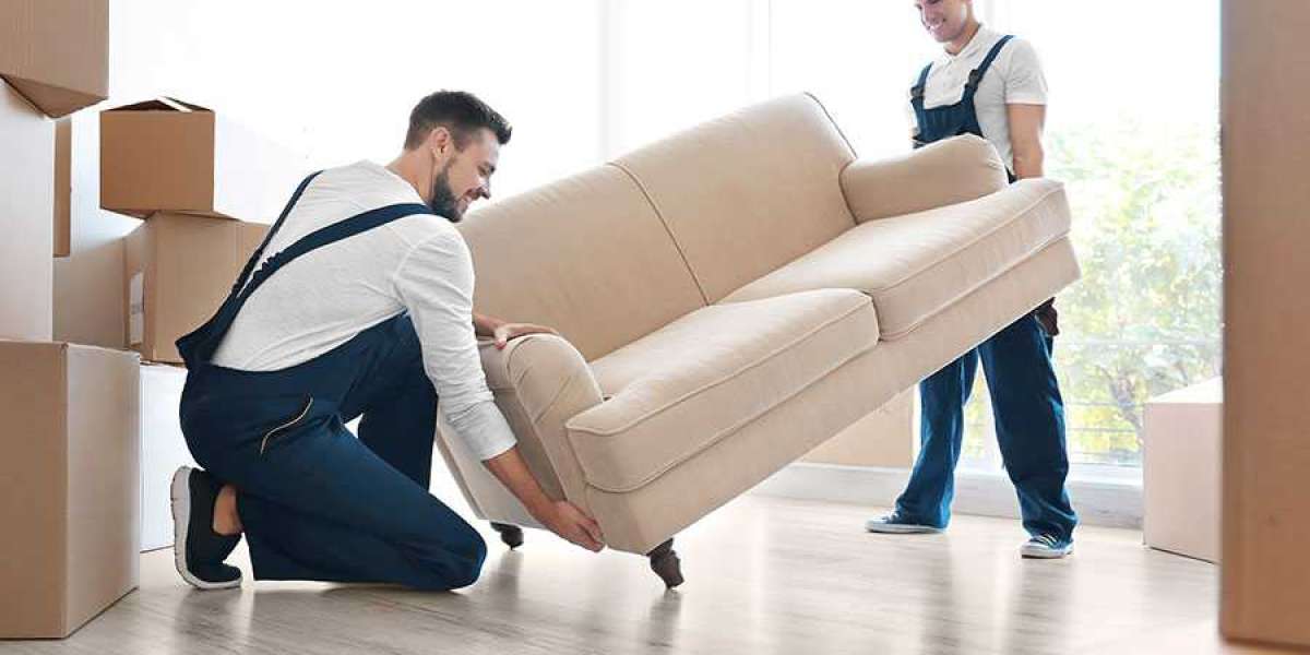 The Benefits of Hiring Professional Removalists for Your Move