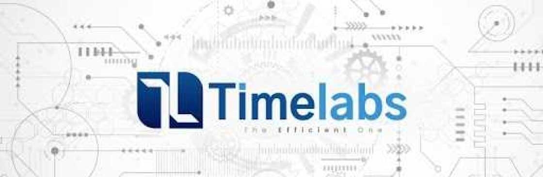 Timelabs HR Software Cover Image