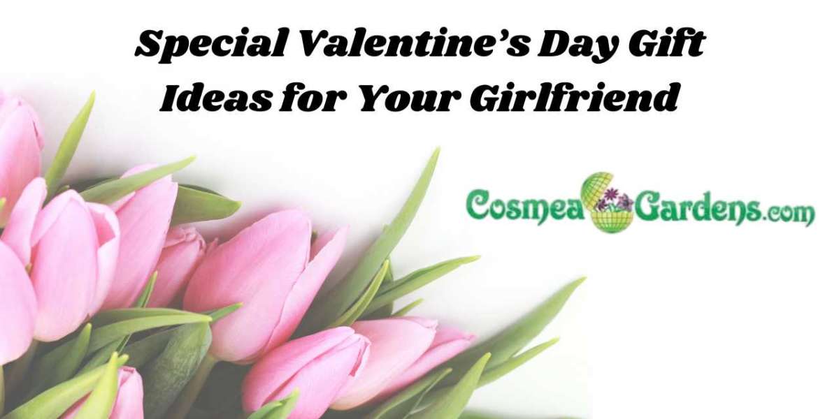 Special Valentine’s Day Gift Ideas for Your Girlfriend