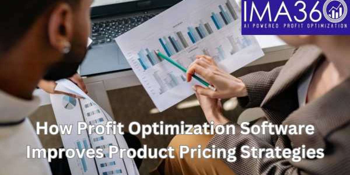 How Profit Optimization Software Improves Product Pricing Strategies