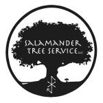 Salamander LLC Profile Picture