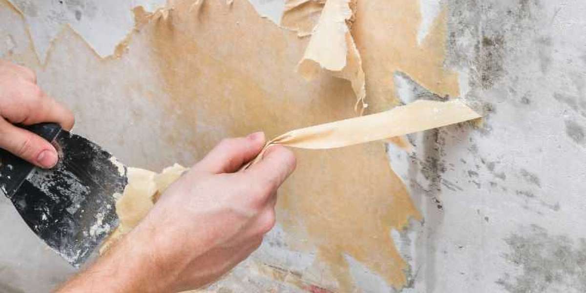 Asbestos Testing in New Zealand: What You Need to Know Before Renovating or Demolishing