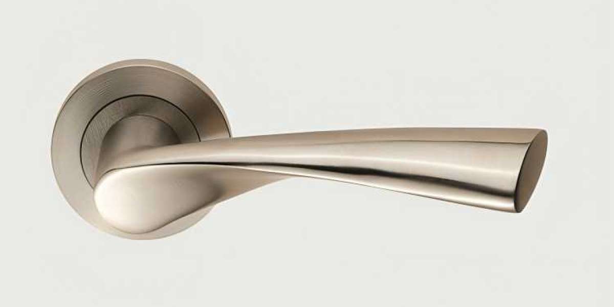 Stainless Steel Door Handles: A Comprehensive Guide to Durability, Style, and Function