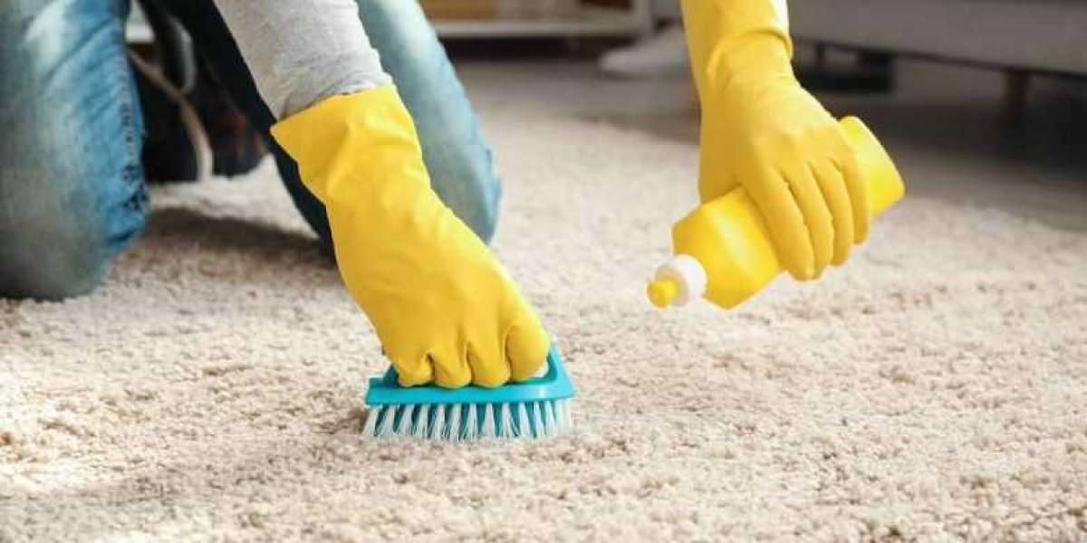 Professional Carpet Cleaning: The Path to a Stunning Home Interior