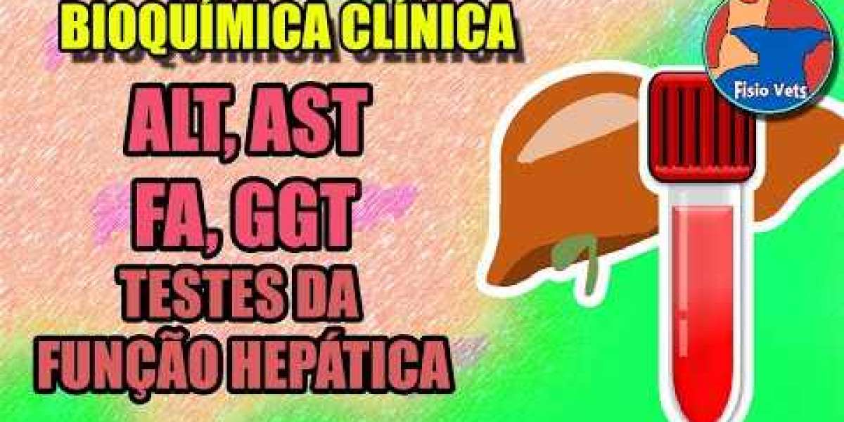 Exame SDMA: A Chave para a Saúde Renal dos Seus Animais de Estimação