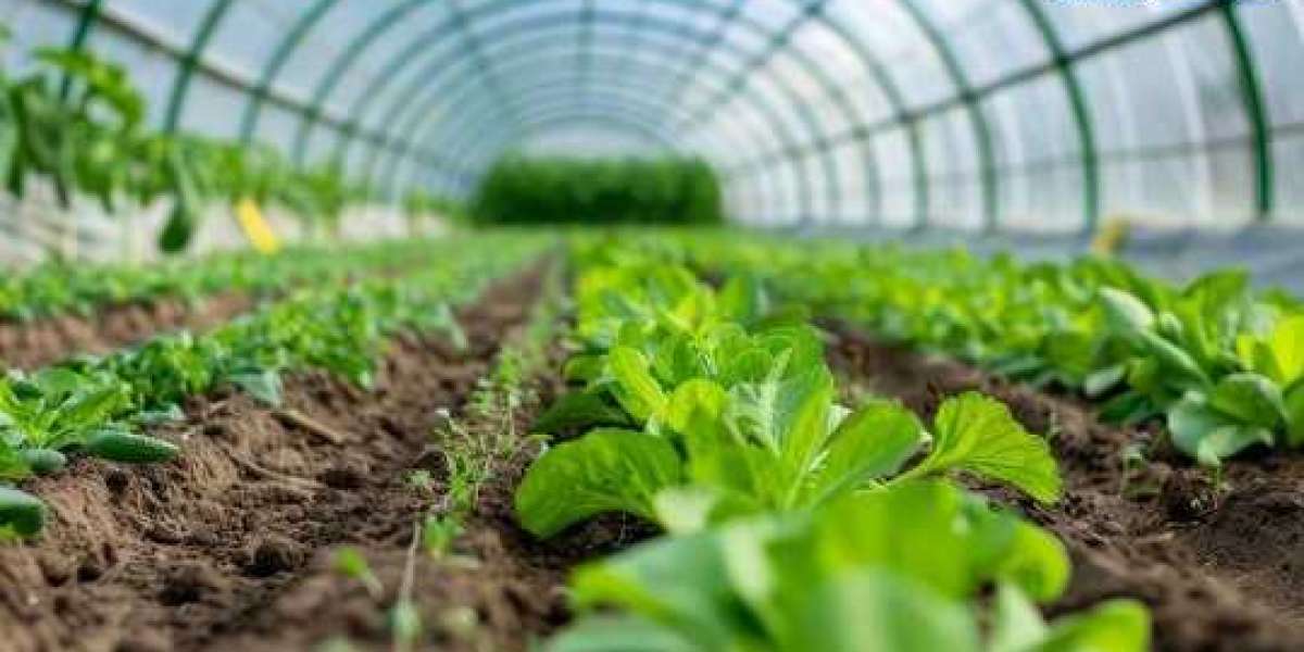 Gardening Market Size, Trends, Industry Analysis, Key Player, Major Segments, and Forecast, 2032