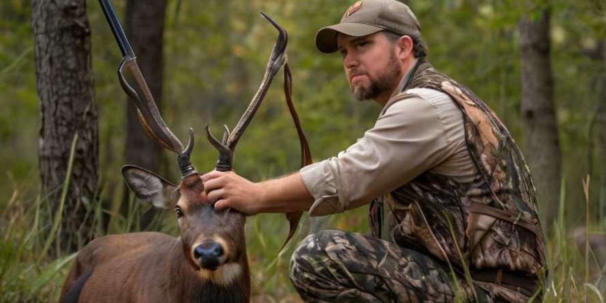 6 Ridiculously Simple Ways To Improve Your Hunting Tutorials