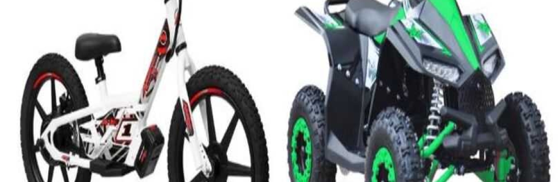 Electric Bikesni Cover Image