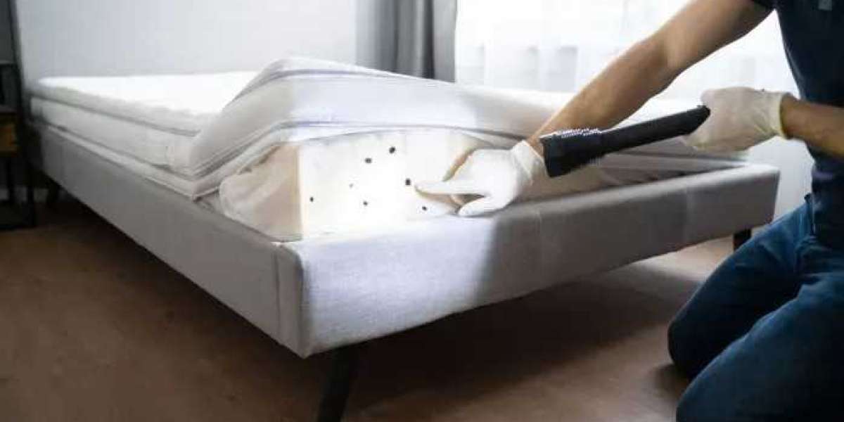 Best Bed Bug Removal Solutions in Singapore for Homes & Hotels