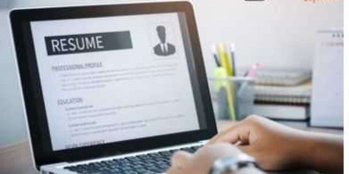 Best Resume Writing Services for a Standout Application.