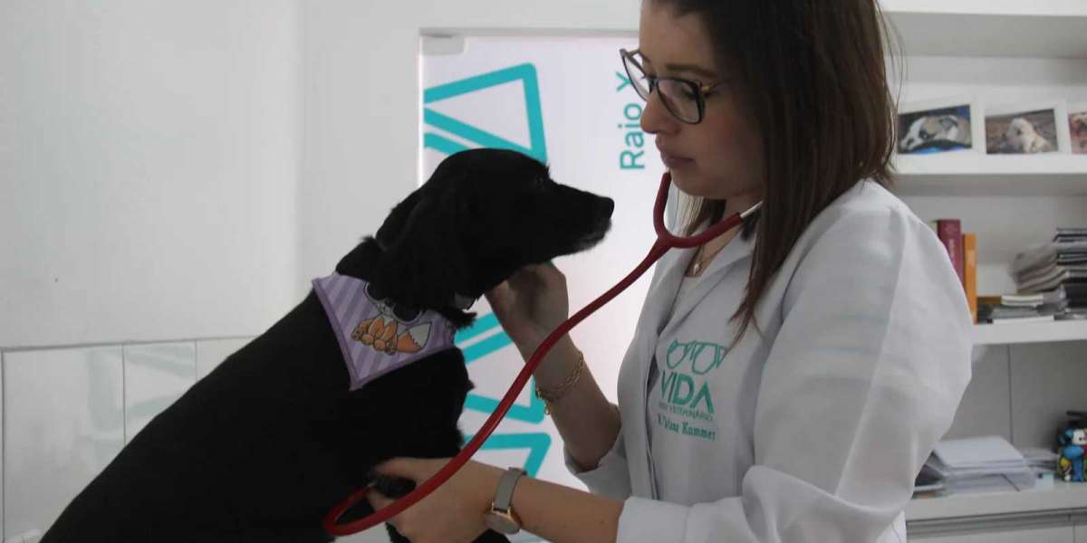 Tratamentos que Prolongam Vidas: A Importância do Laboratório Veterinário para Seu Pet