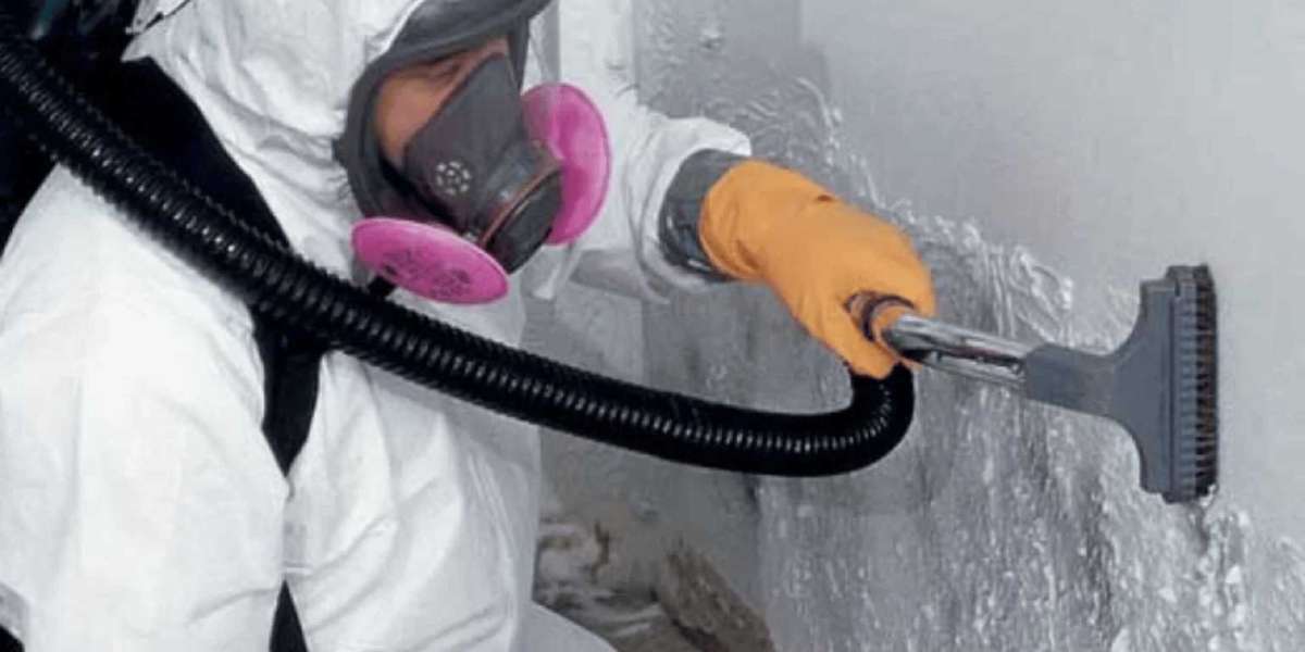 Expert Mold Remediation Services in Los Angeles | Restore Your Home's Safety