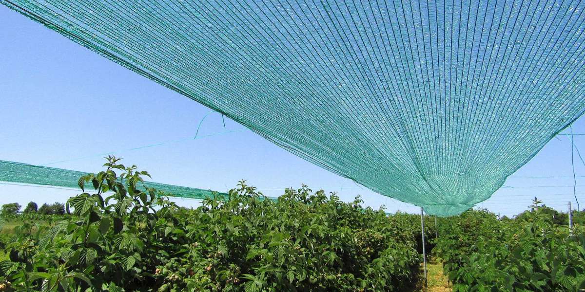 Best Shade Net Suppliers & Manufacturers in UAE | High-Quality & Durable