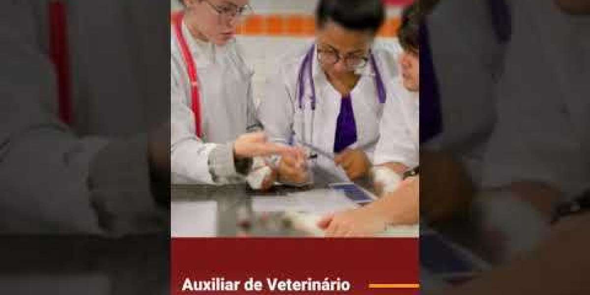 Caminhos para a Recuperação: Tratando Distúrbios Adrenais em Seus Animais de Estimação Após o Diagnóstico com ACTH