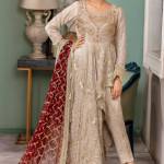 Pakistani Wedding Dresses profile picture