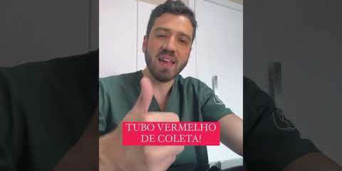 Riscos Ocultos: O Que Pode Levar à Morte de um Pet com Insuficiência Renal?