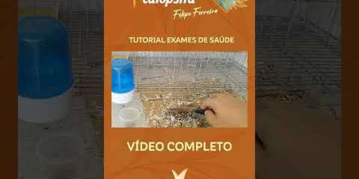 Quando a Letargia do Seu Pet é Sinal de Doença Renal? Entenda os Sintomas e Cuidados Necessários