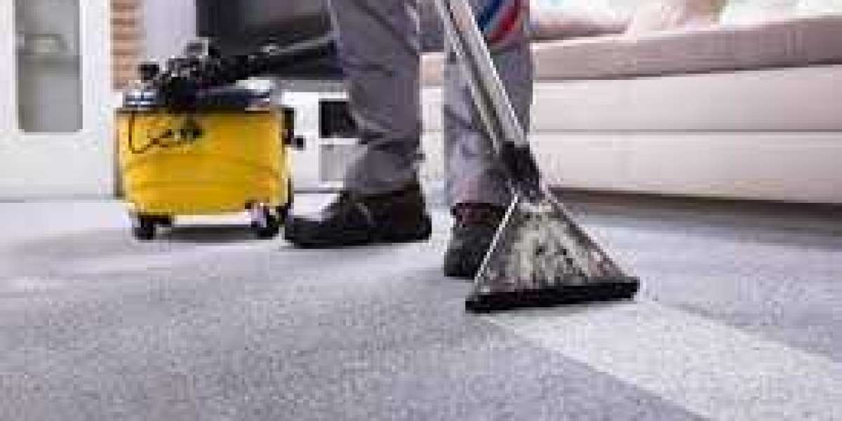 Professional Carpet Cleaning: A Step Toward Aesthetic Excellence in Homes