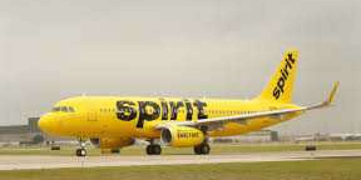 Everything You Need to Know About Spirit Airlines DFW Terminal