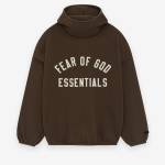 essentials hoodie hoodie profile picture