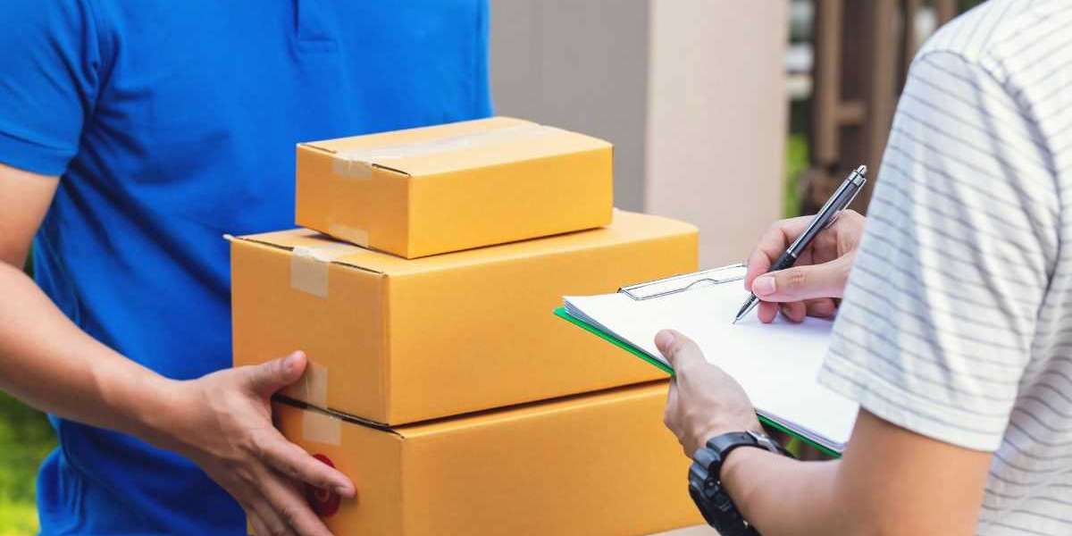 How to Choose the Right Courier Service in New Zealand