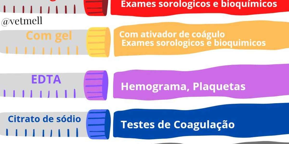 Estratégias Eficazes para Manter a Ureia de Seu Gato Sob Controle