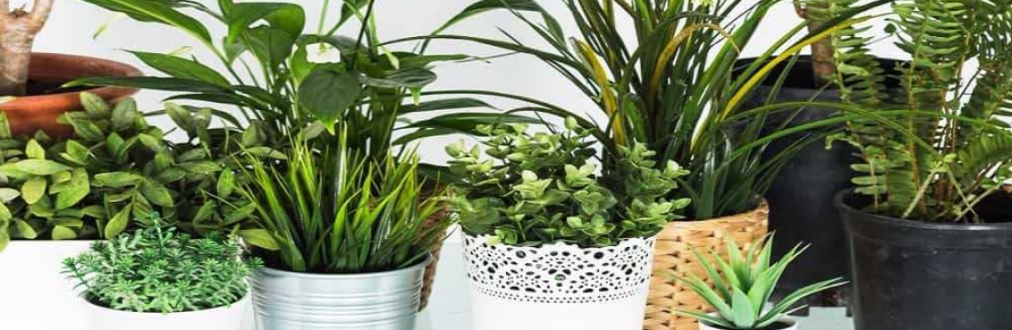 Tannu Ka Garden Cover Image