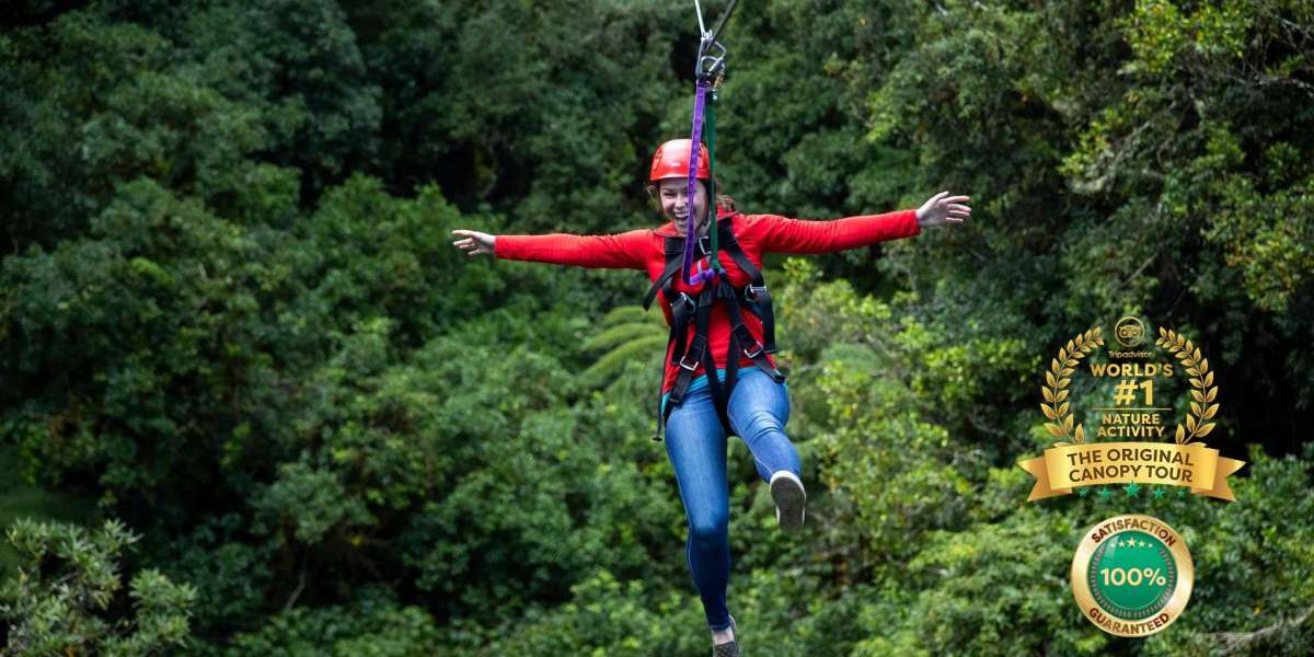 Why Ziplines Rotorua Should Be at the Top of Your Adventure List