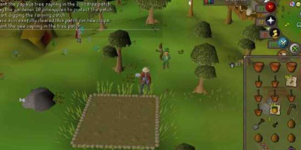 OSRS Gold Raids for Beginners: A Step-by-Step Guide to the Chambers of Xeric