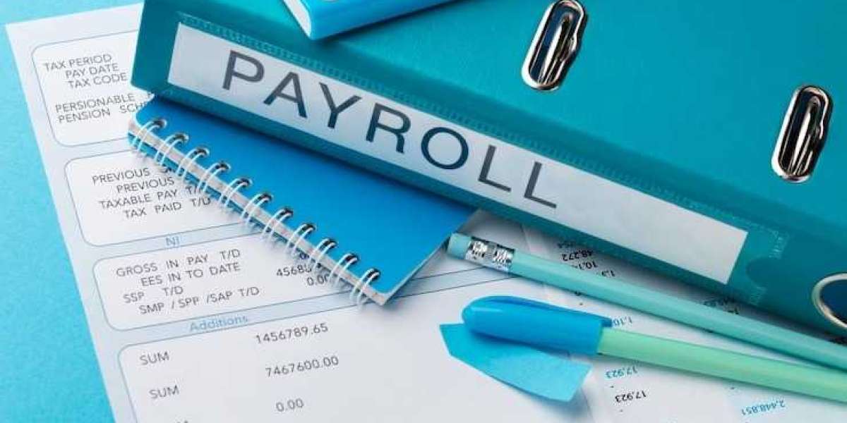 Empowering Businesses with Efficient Payroll Management Services in India