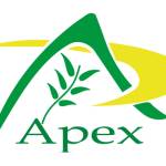 apexherbex11 Profile Picture