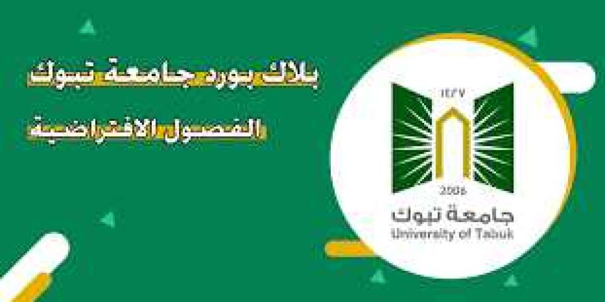 كيفية استخدام بلاك بورد تبوك: دليل الدخول والتفاعل مع نظام التعليم الإلكتروني في جامعة تبوك