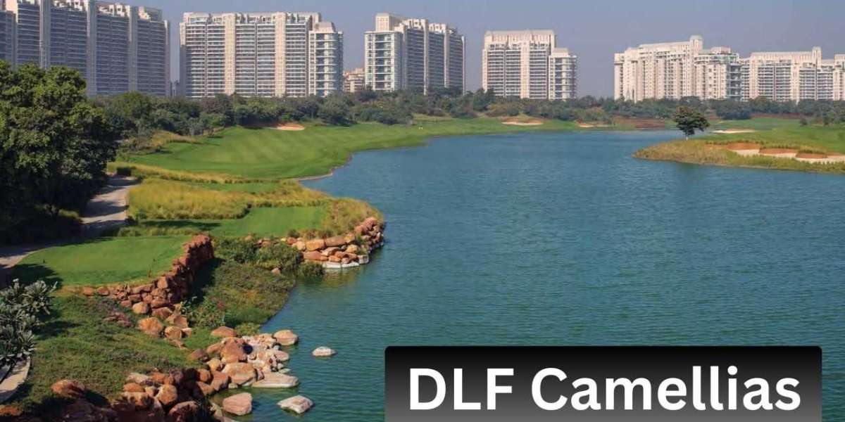 Discover the Elegance of DLF Camellias: Gurgaon’s Premier Luxury Address