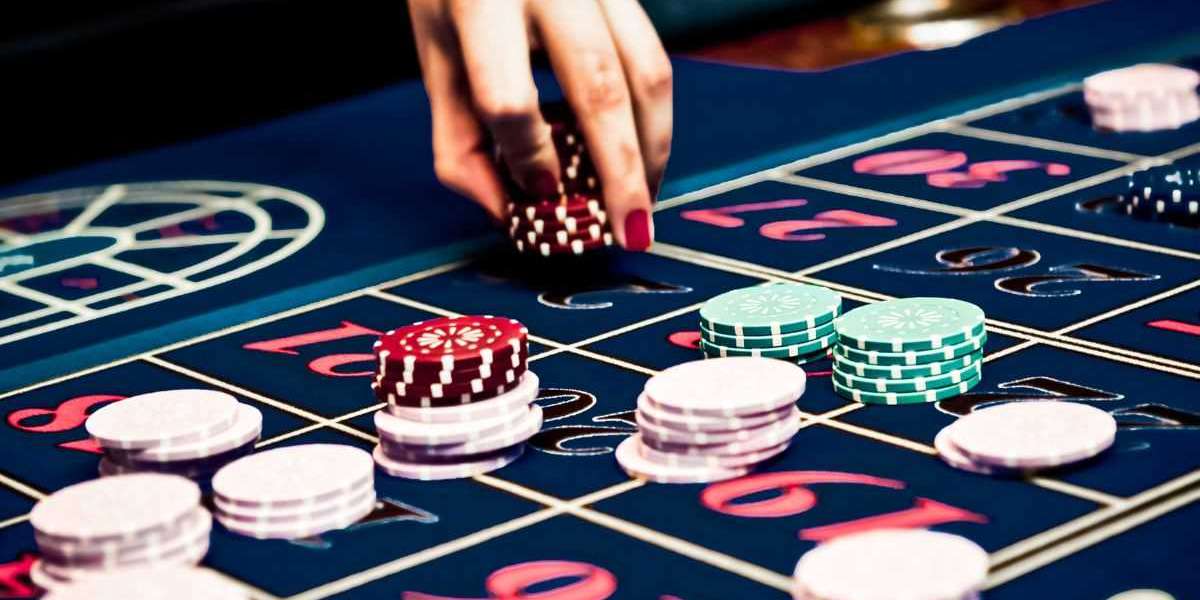 Daily Result Check Karne Ka Sahi Tareeka for satta king