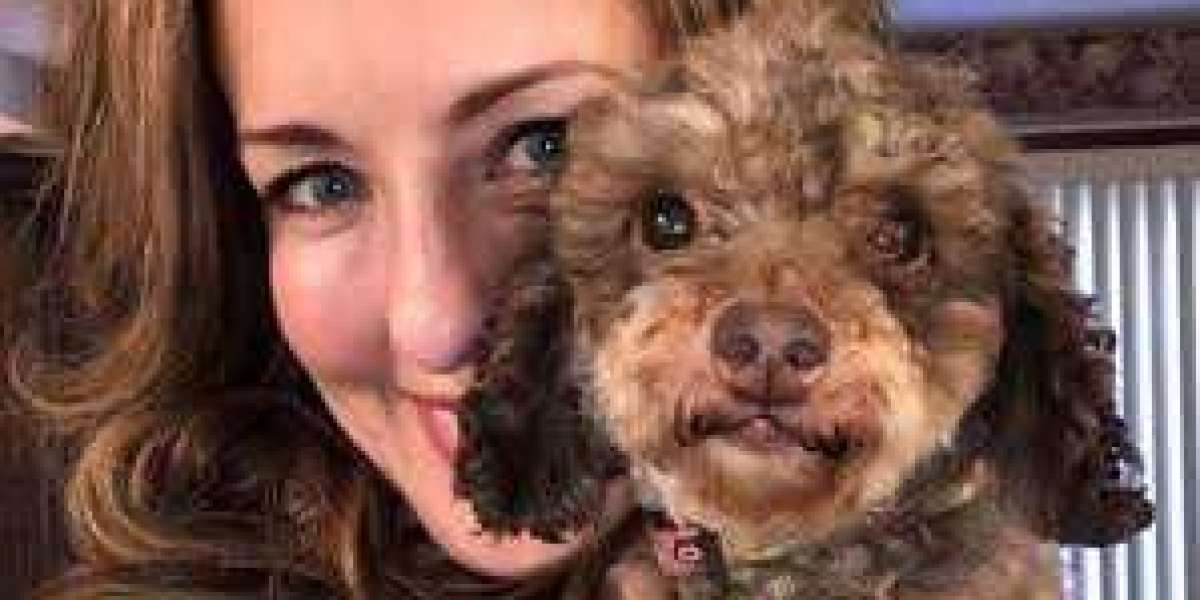 Poodle Rescue Indianapolis: A Second Chance for Poodles in Need